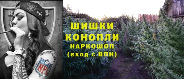apvp Сясьстрой