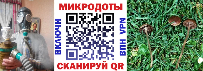 hydra ТОР  это наркотические препараты  Псилоцибиновые грибы Magic Shrooms  Городище 
